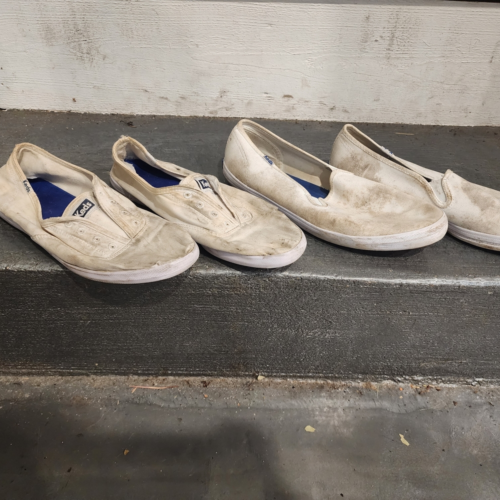 Keds 10 Well Worn